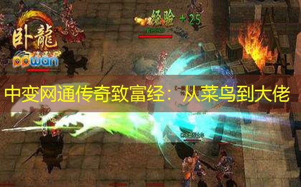 中变网通传奇致富经：从菜鸟到大佬