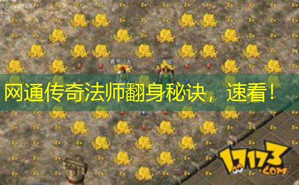 网通传奇法师翻身秘诀，速看！
