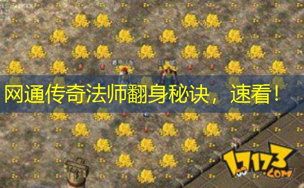 网通传奇法师翻身秘诀，速看！