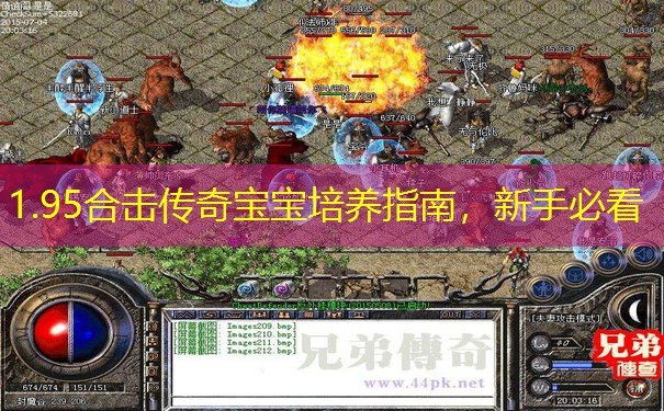 1.95合击传奇宝宝培养指南，新手必看
