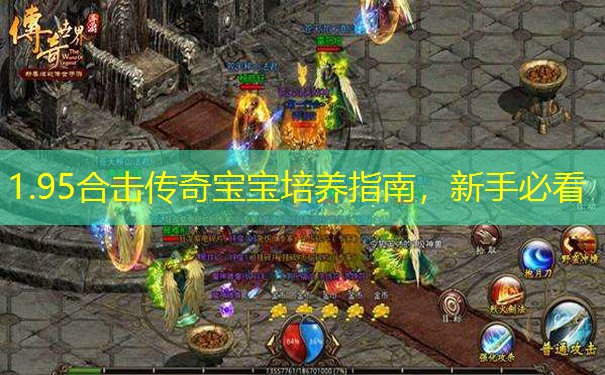 1.95合击传奇宝宝培养指南,新手必看 1.95合击传奇宝宝培养指南,新手必看