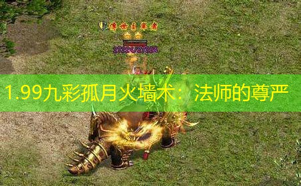 1.99九彩孤月火墙术：法师的尊严