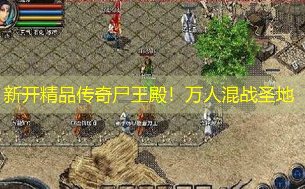 新开精品传奇尸王殿！万人混战圣地