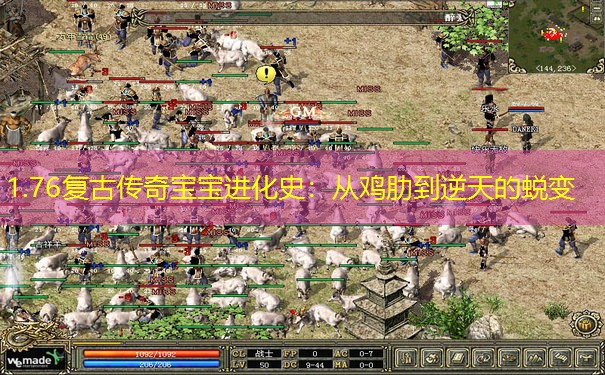 1.76复古传奇宝宝进化史：从鸡肋到逆天的蜕变