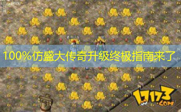 100%仿盛大传奇升级终极指南来了