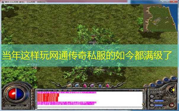 当年这样玩网通传奇私服的如今都满级了