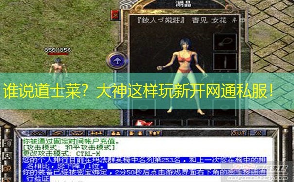 谁说道士菜？大神这样玩新开网通私服！