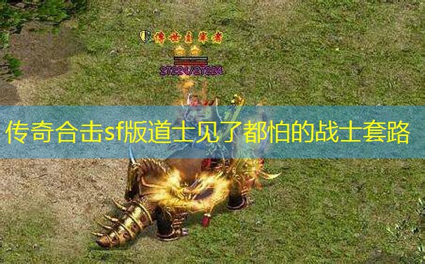 传奇合击sf版道士见了都怕的战士套路