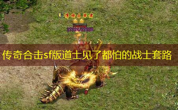 传奇合击sf版道士见了都怕的战士套路