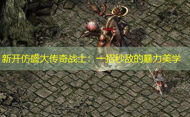 新开仿盛大传奇战士：一招秒敌的暴力美学