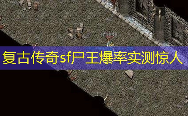 复古传奇sf尸王爆率实测惊人