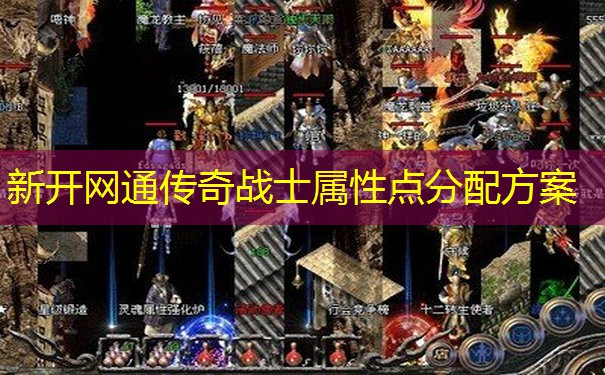 新开网通传奇战士属性点分配方案