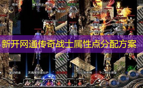 新开网通传奇战士属性点分配方案