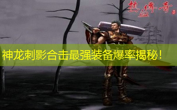 神龙刺影合击最强装备爆率揭秘！