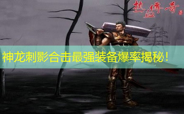 神龙刺影合击最强装备爆率揭秘！