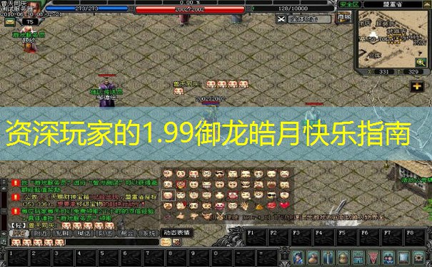 资深玩家的1.99御龙皓月快乐指南