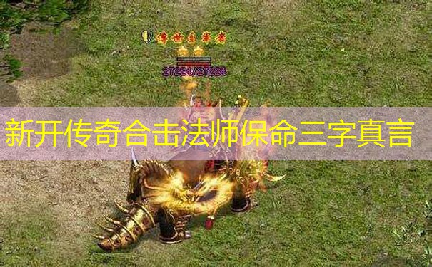 新开传奇合击法师保命三字真言