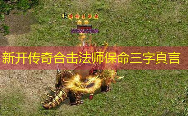 新开传奇合击法师保命三字真言