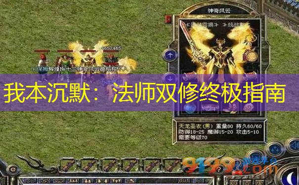 我本沉默：法师双修终极指南