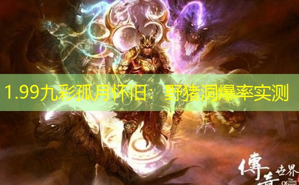 1.99九彩孤月怀旧：野猪洞爆率实测