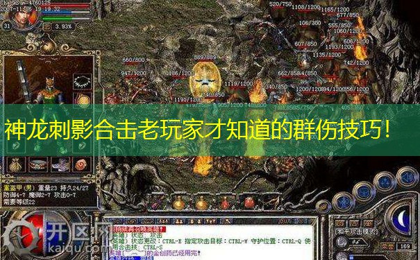 神龙刺影合击老玩家才知道的群伤技巧！