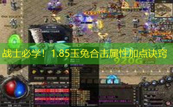 战士必学！1.85玉兔合击属性加点诀窍