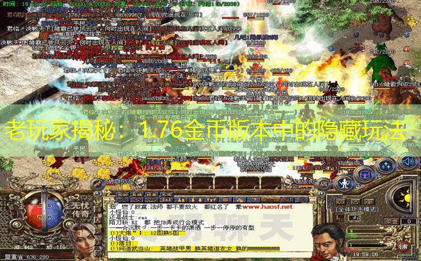 老玩家揭秘：1.76金币版本中的隐藏玩法