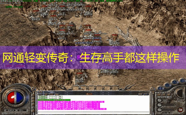 网通轻变传奇：生存高手都这样操作