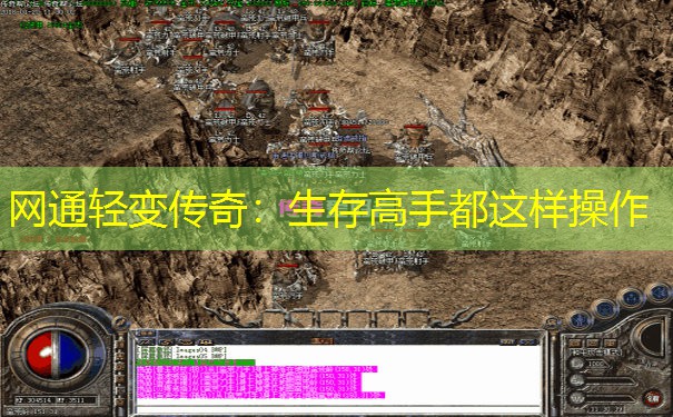 网通轻变传奇：生存高手都这样操作