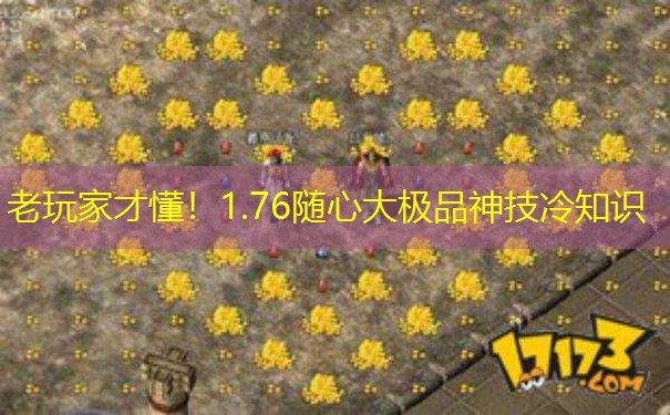 老玩家才懂！1.76随心大极品神技冷知识