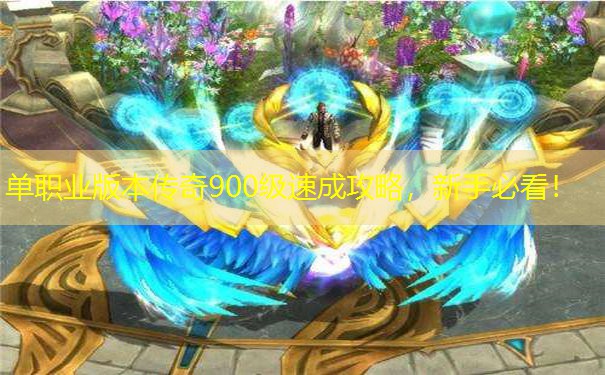 单职业版本传奇900级速成攻略，新手必看！