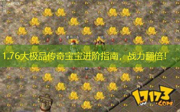 1.76大极品传奇宝宝进阶指南，战力翻倍！