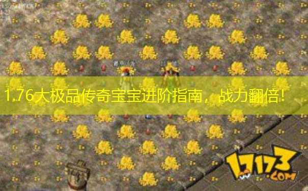 1.76大极品传奇宝宝进阶指南,战力翻倍! 1.76大极品传奇宝宝进阶指南,战力翻倍!