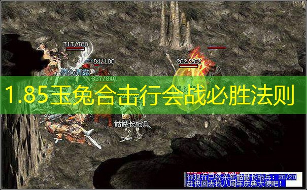 1.85玉兔合击行会战必胜法则 1.85玉兔合击行会战必胜法则