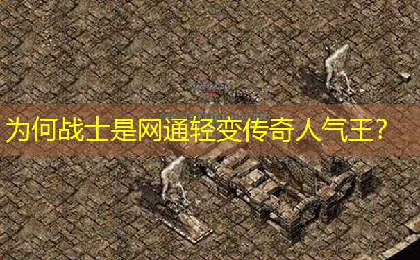 为何战士是网通轻变传奇人气王？