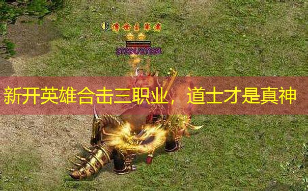 新开英雄合击三职业,道士才是真神 新开英雄合击三职业,道士才是真神