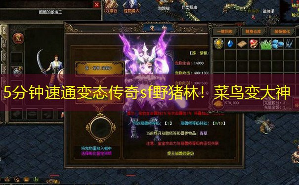5分钟速通变态传奇sf野猪林！菜鸟变大神