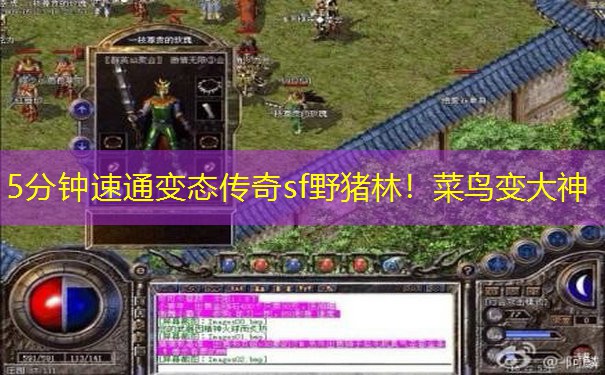 5分钟速通变态传奇sf野猪林!菜鸟变大神 5分钟速通变态传奇sf野猪林!菜鸟变大神