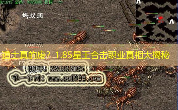 道士真的废？1.85星王合击职业真相大揭秘