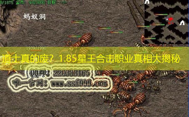道士真的废？1.85星王合击职业真相大揭秘