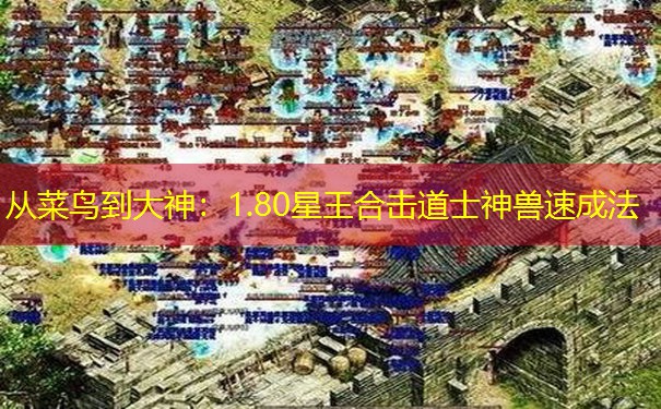 从菜鸟到大神：1.80星王合击道士神兽速成法