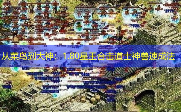 从菜鸟到大神：1.80星王合击道士神兽速成法